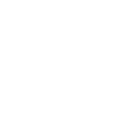 Consultation Icon Consultation Icon