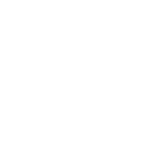 Controller Solutions & Financial Reporting